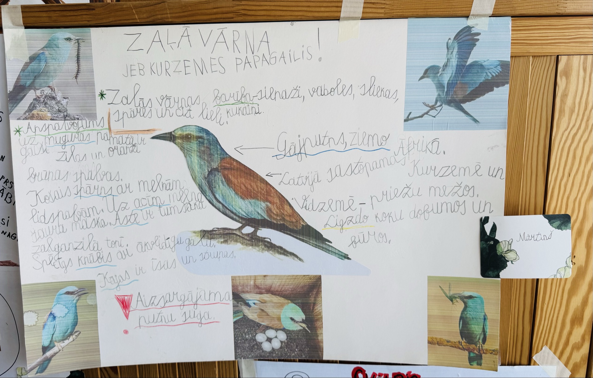 Galerijas bilde