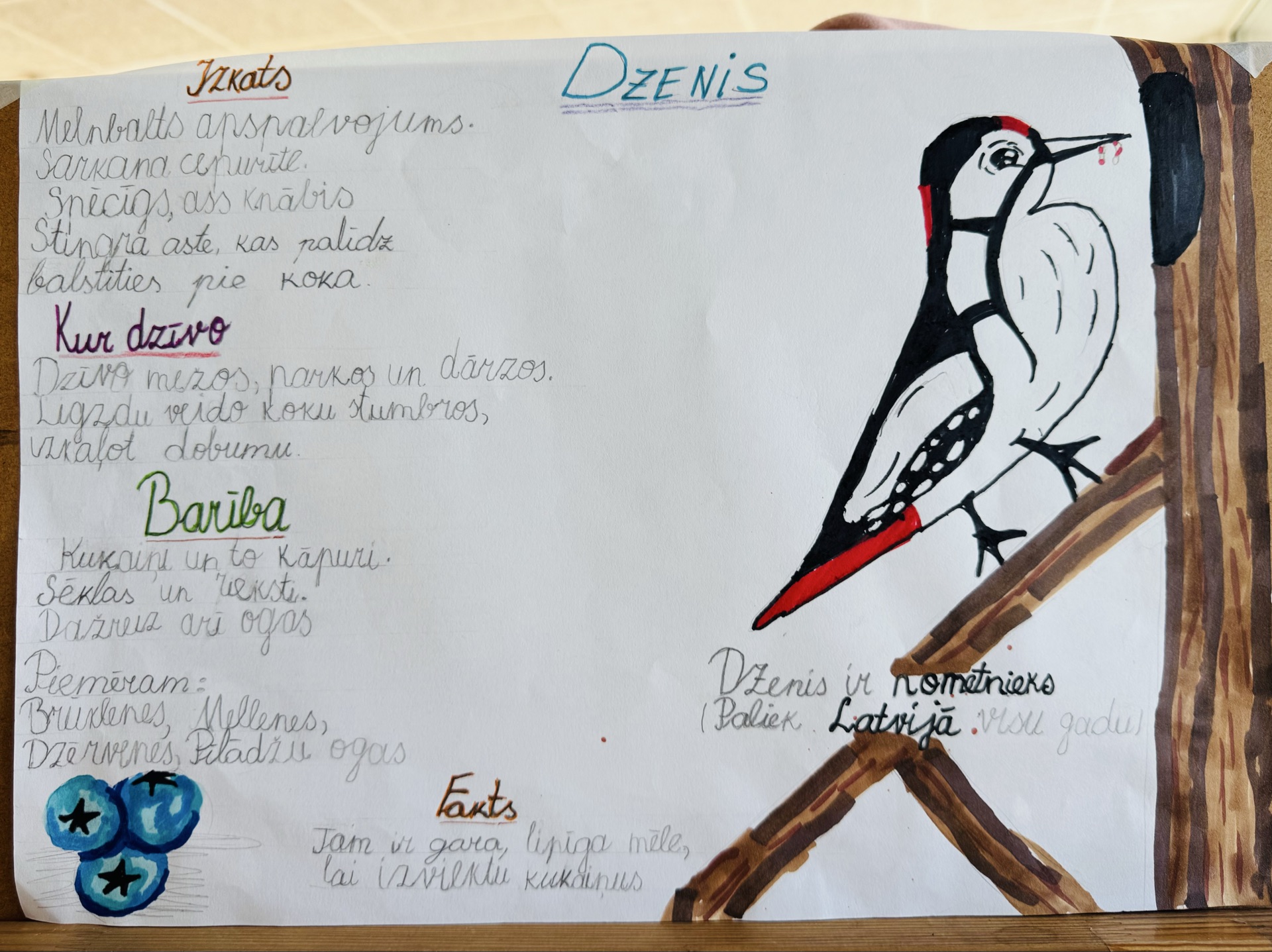 Galerijas bilde